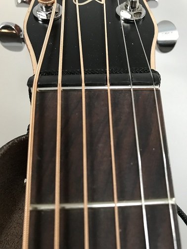 Zeroth Fret Up Close